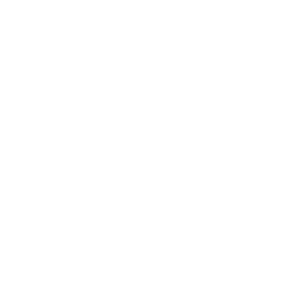 Brooklyn Bowl, Excel Dryer’s XLERATOR